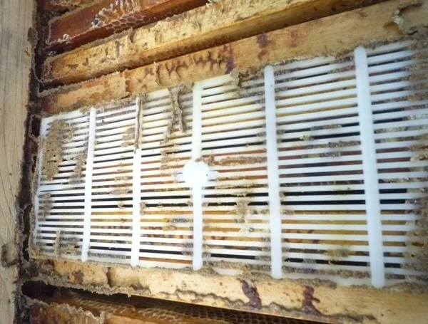 Прополисосборник РСП-1