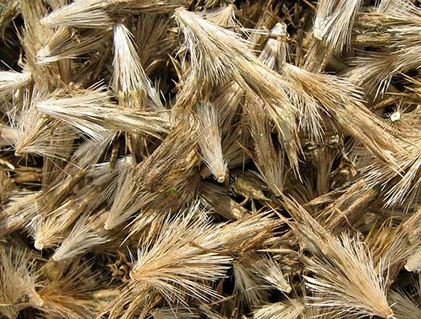 Мордовник шароголовый 5 кг