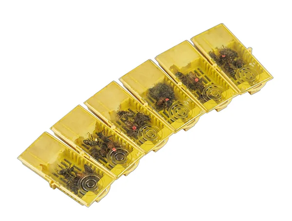 Пчеломатка Бакфаст F1 2025 года ООО "Передовая пасека"