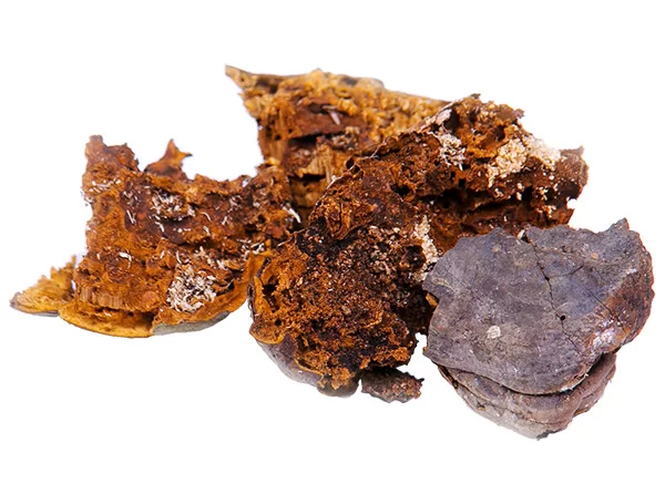 Топливо для дымаря гриб трутовик 1 кг