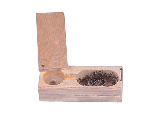 Пчеломатка Карника F1 2025 года ООО "Передовая пасека" 