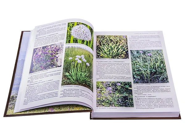 Медоносные, лекарственные, декаративные растения естественной флоры Сибири, Урала и европейской част