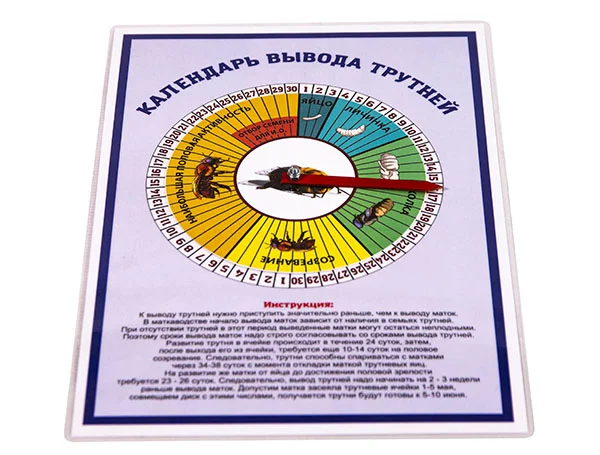 Календарь вывода трутней