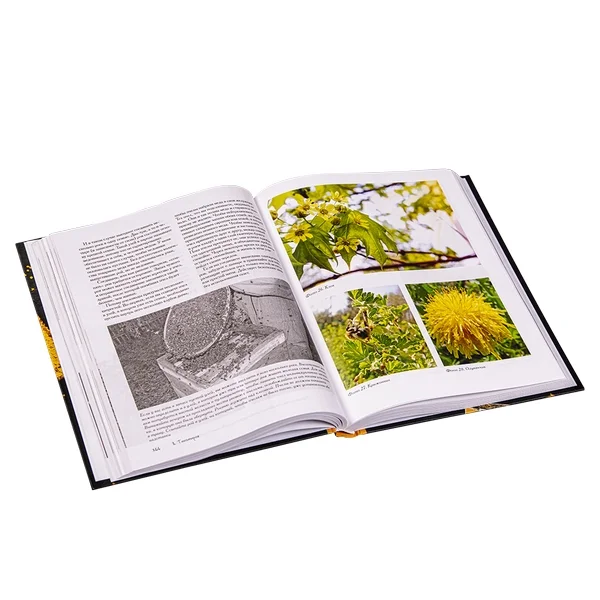 Пчеловодство. Все самое важное для тех, кто хочет стать пчеловодом / В.В.Тихомиров,Москва,Эксмо,2020