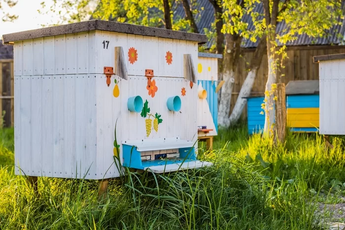 Ульи в пчеловодстве. Улей лежак