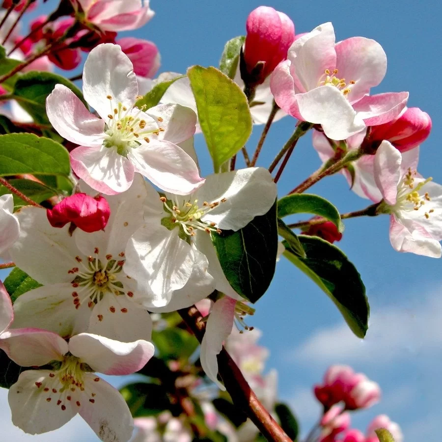 График работы на майские праздники 2024